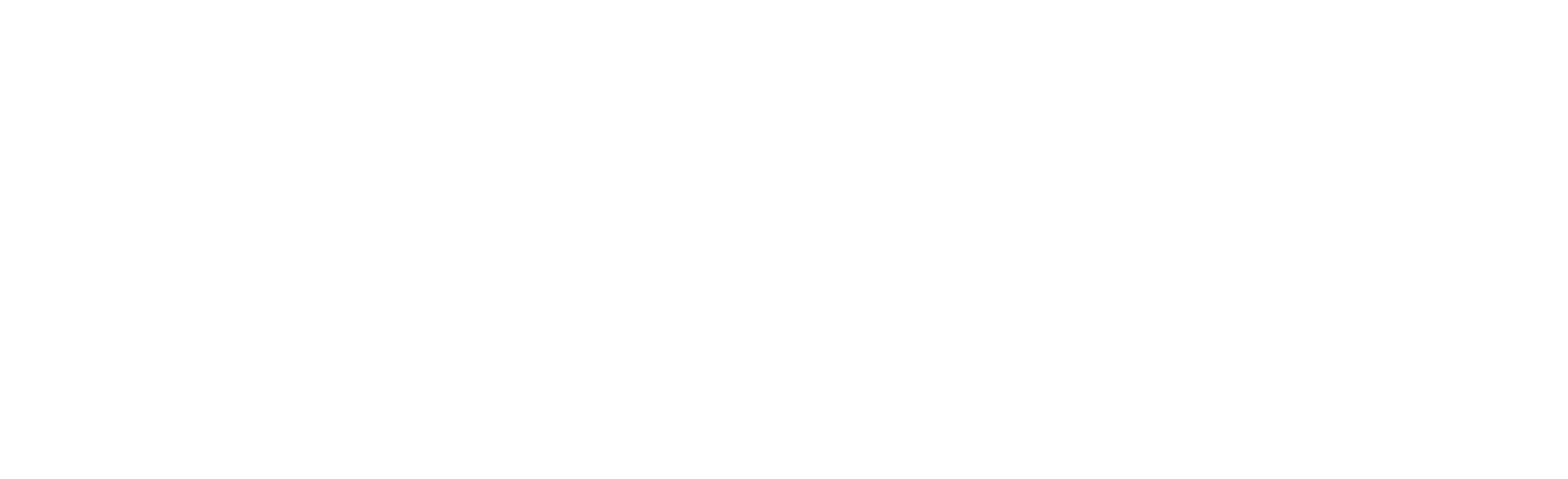 solarver logotipo blanco